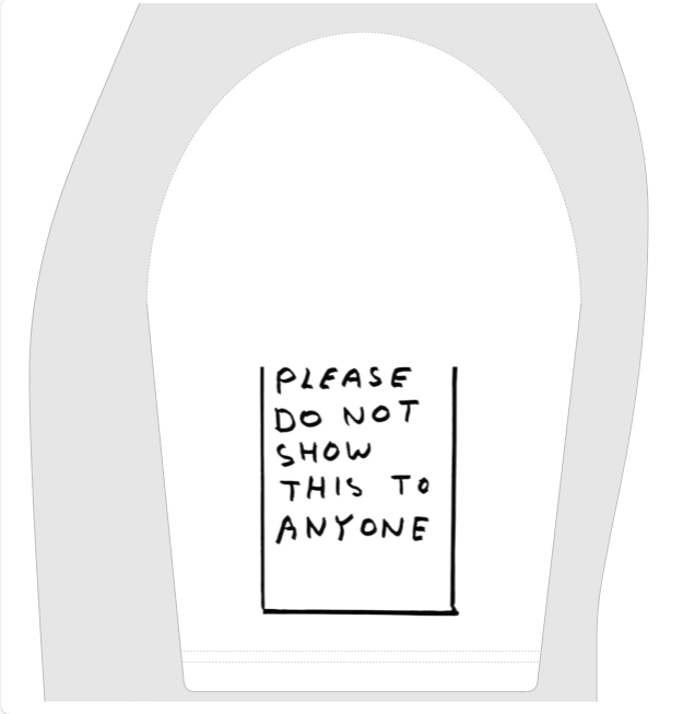 PLEASE DO NOT SHOW THIS TO ANYONE - LOLLOSER THE NOTES NOBODY KNOWS ABOUT BOXY 350 GSM T SHIRT Unisex Boxy T-shirt(280GSM)